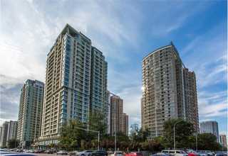 青浦区申请科技项目哪家便宜