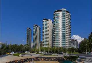 绍兴专业蜂窝纸纸芯批发厂家